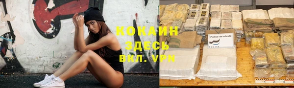 стаф Краснослободск