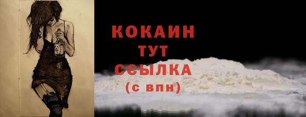 стаф Краснослободск