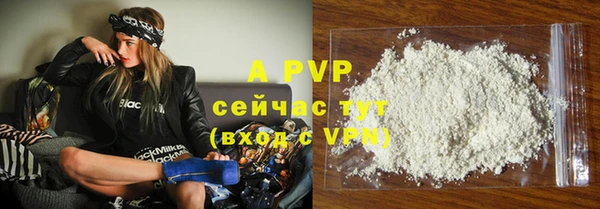 стаф Краснослободск
