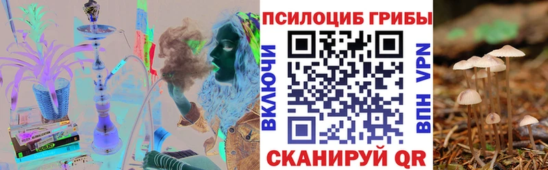 Купить закладки  Надым  Псилоцибиновые грибы ЛСД 